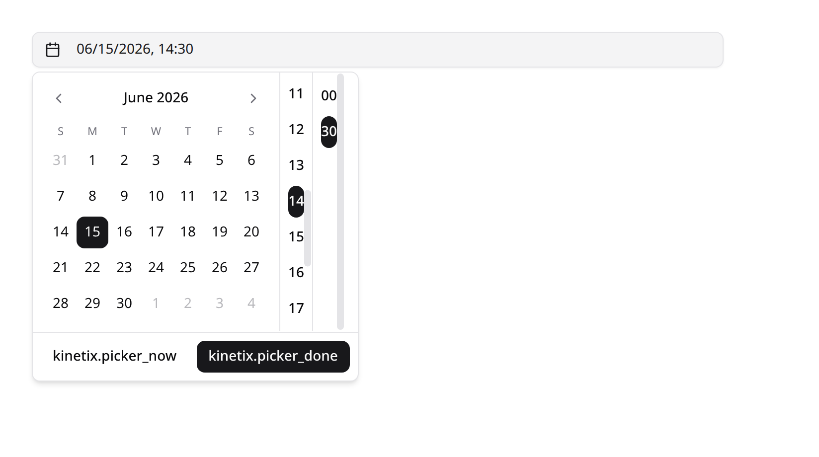 Date-time picker showing the calendar and time columns